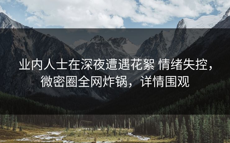业内人士在深夜遭遇花絮 情绪失控,微密圈全网炸锅,详情围观