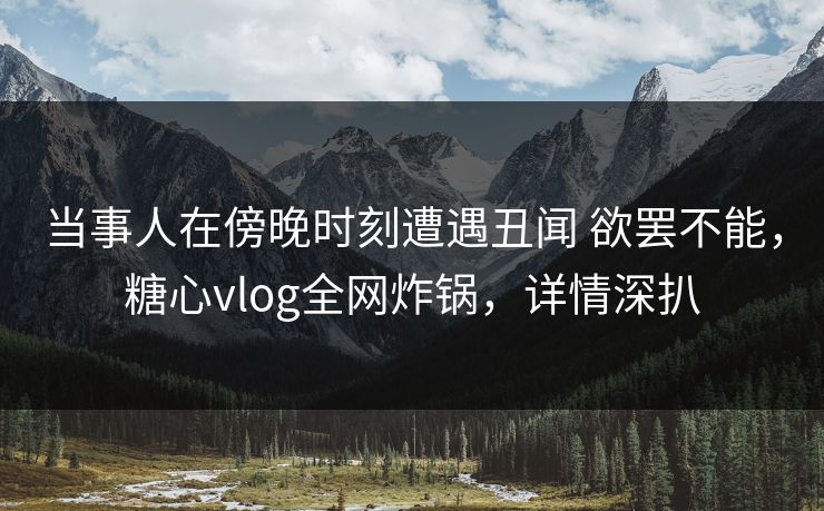 当事人在傍晚时刻遭遇丑闻 欲罢不能，糖心vlog全网炸锅，详情深扒