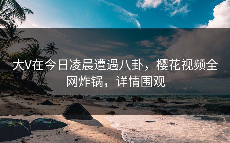 大V在今日凌晨遭遇八卦，樱花视频全网炸锅，详情围观