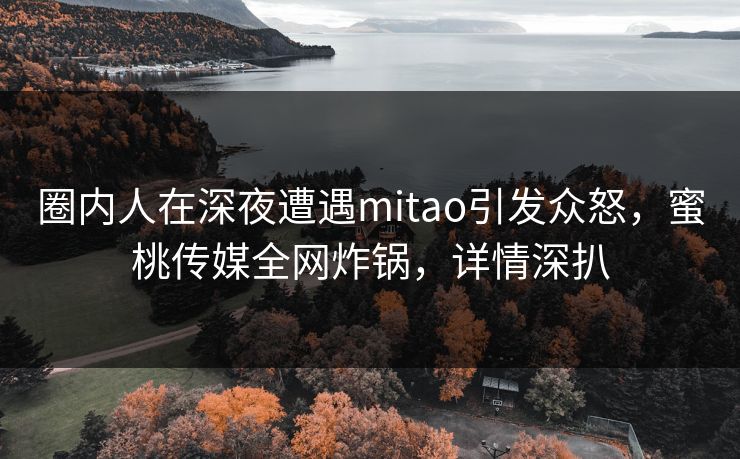 圈内人在深夜遭遇mitao引发众怒，蜜桃传媒全网炸锅，详情深扒