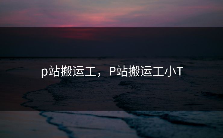 p站搬运工，P站搬运工小T
